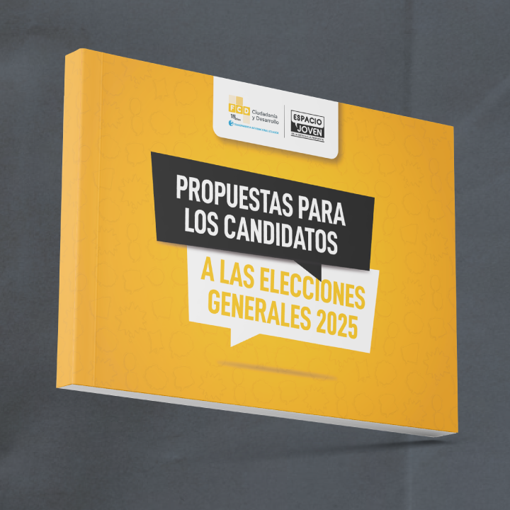 Elecciones 2025